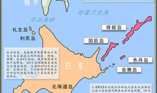 三国大时代4弓骑兵位置